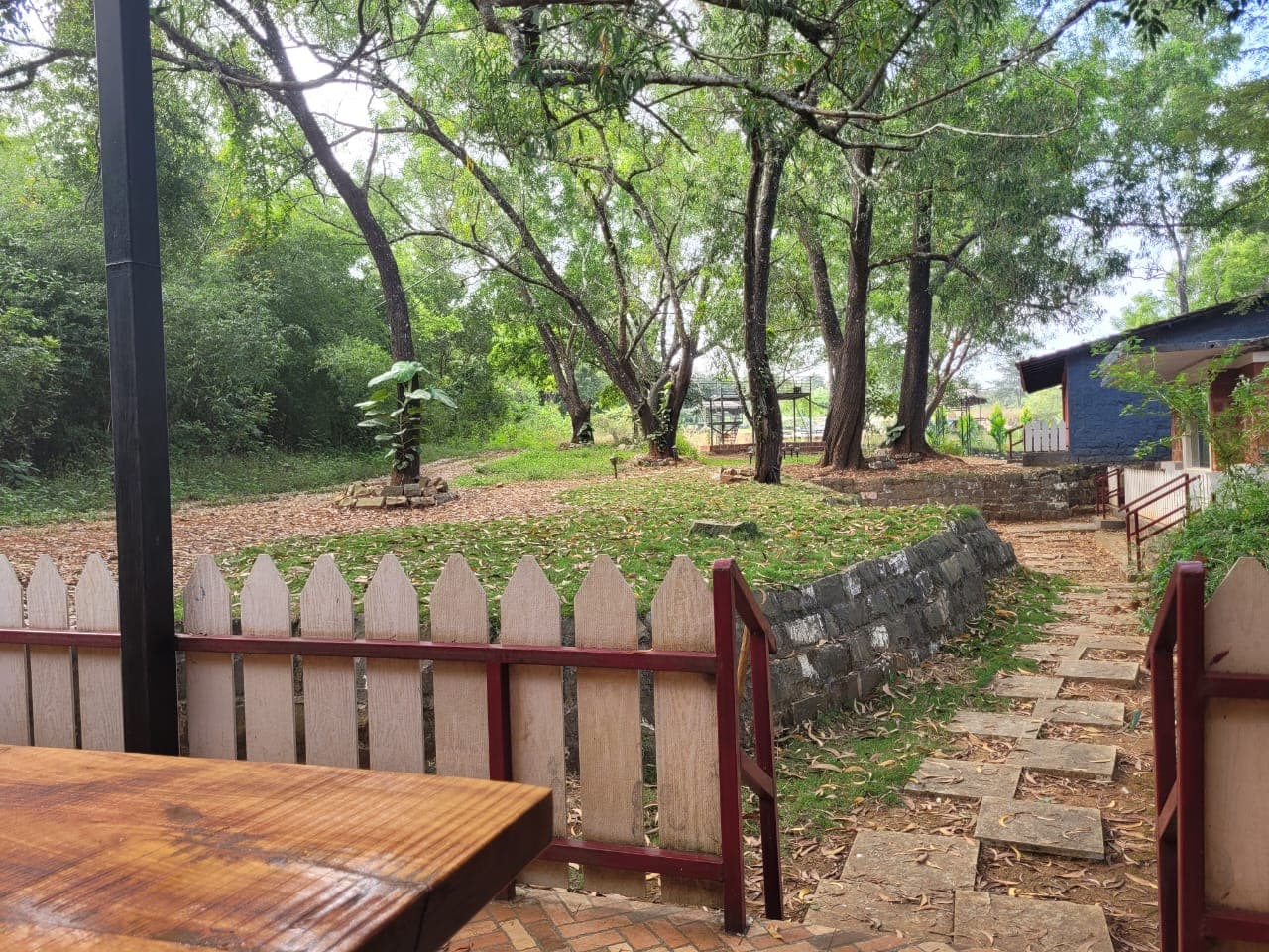 Lush forest surroundings of the resort with natural garden paths