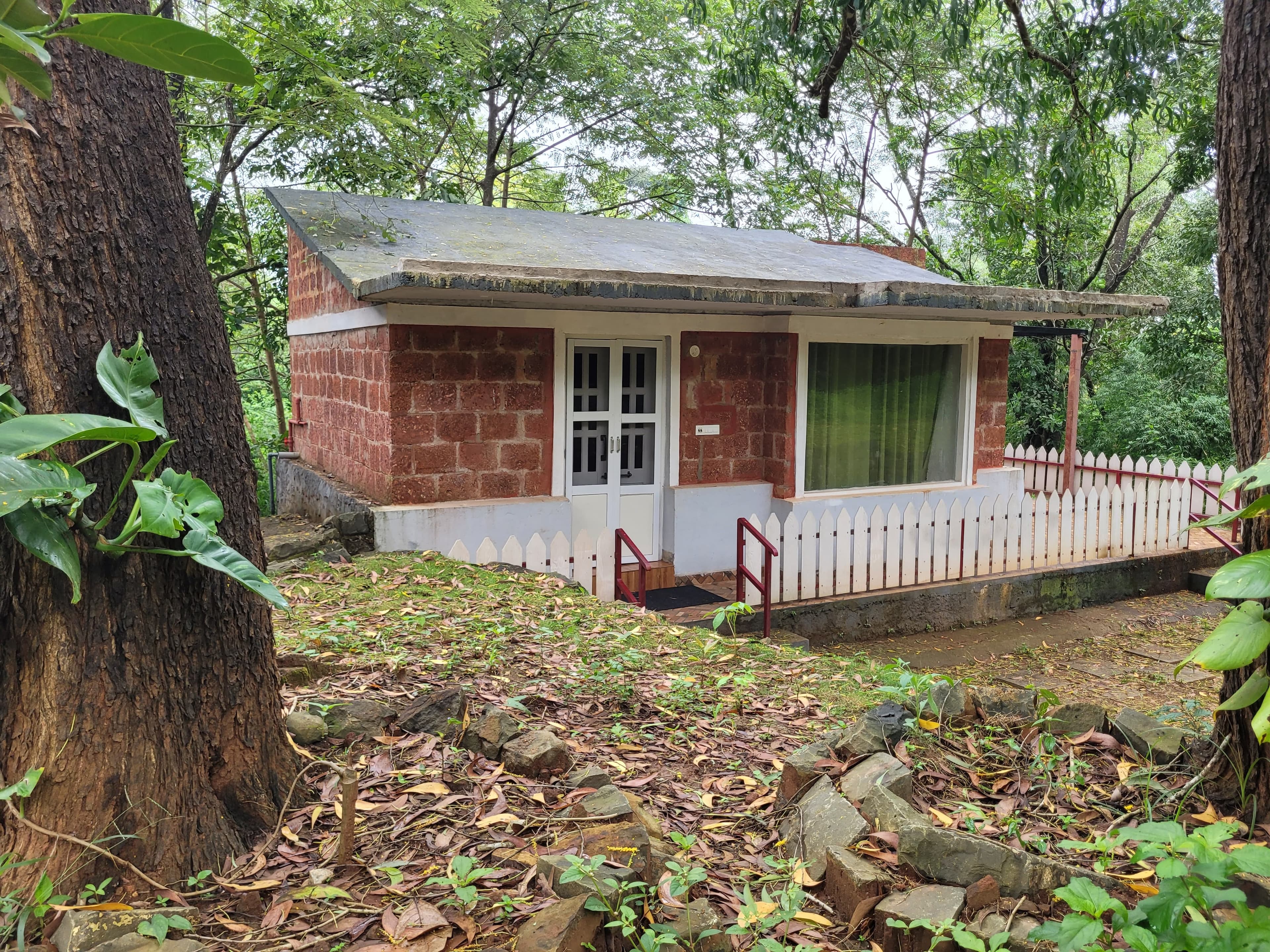 Cottage nestled among trees at The Dandelion Resort