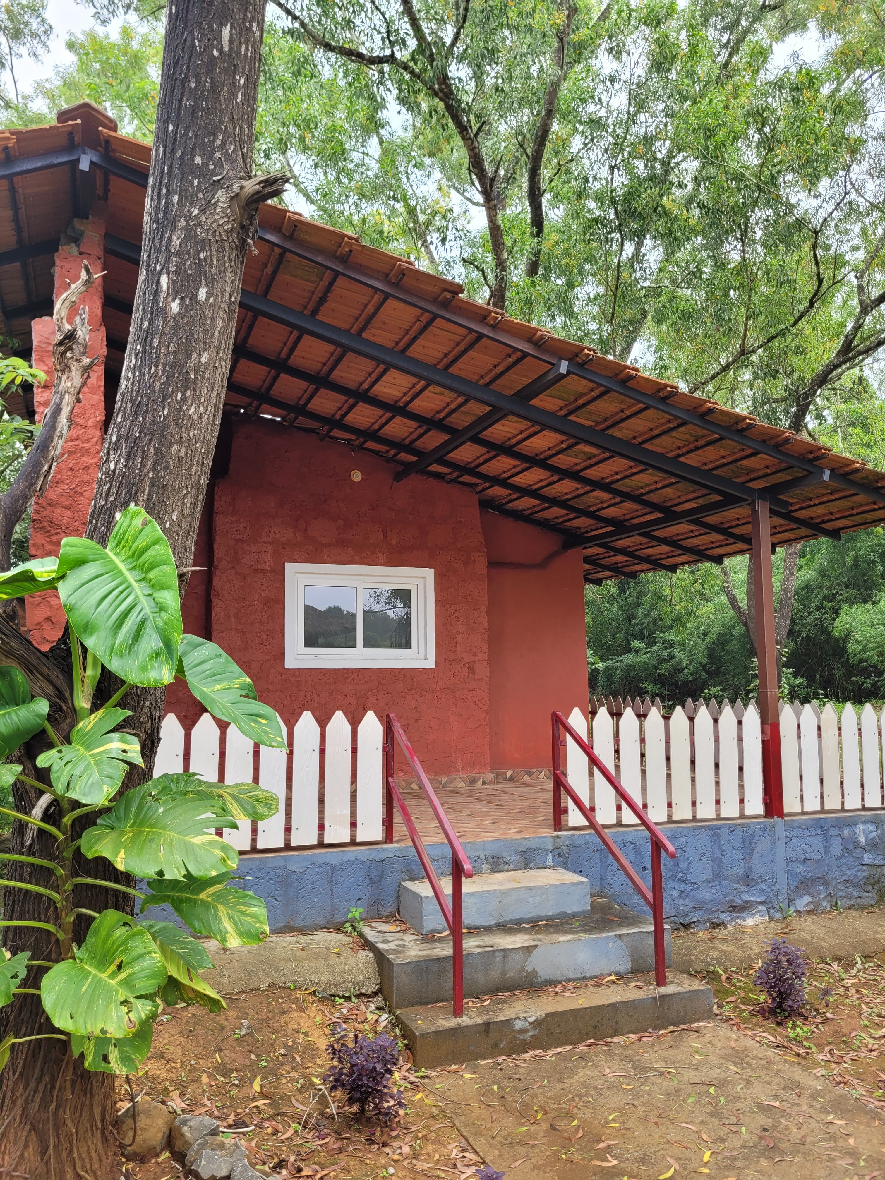 Cottage verandah