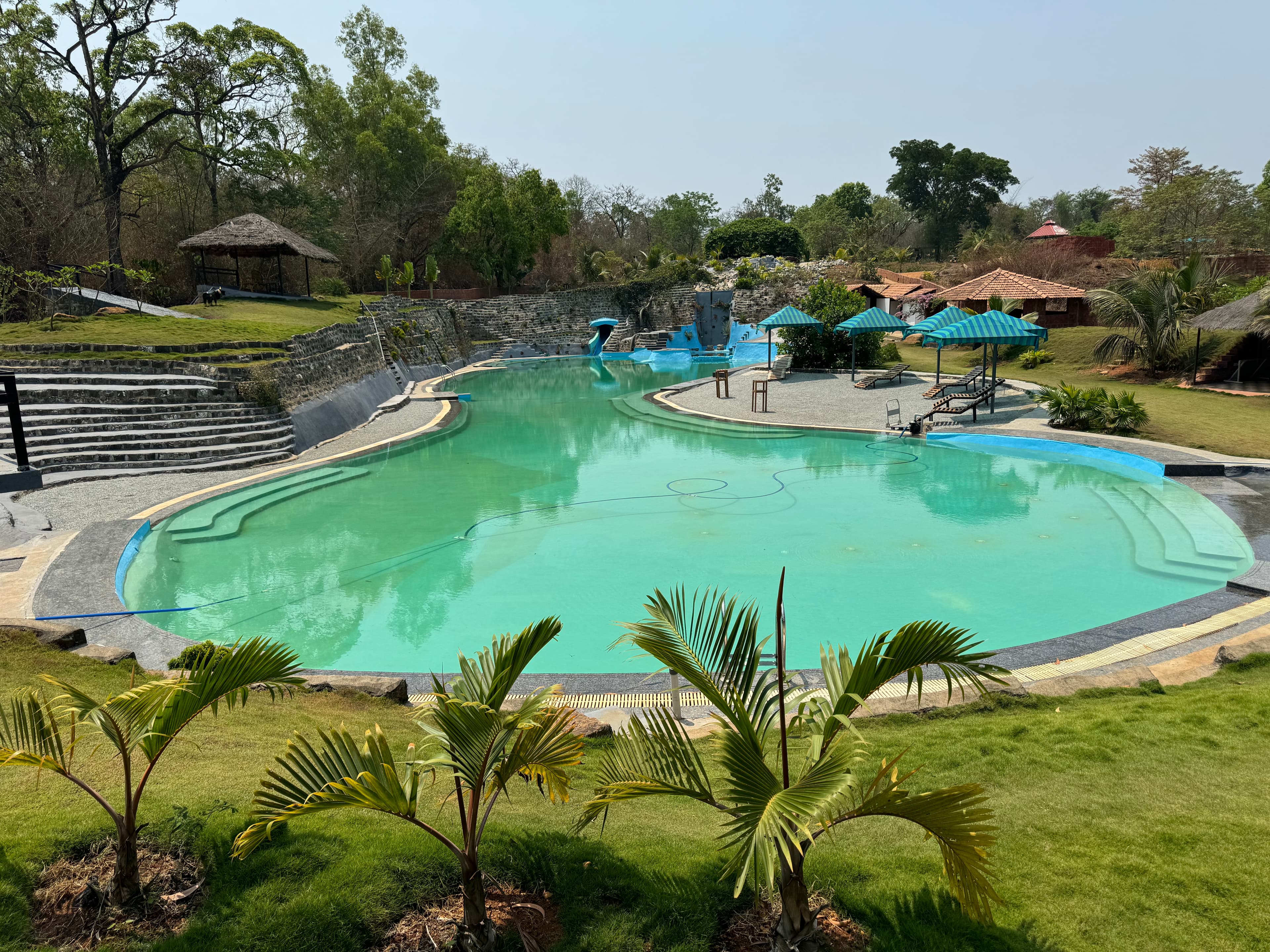 Pool with surrounding trees