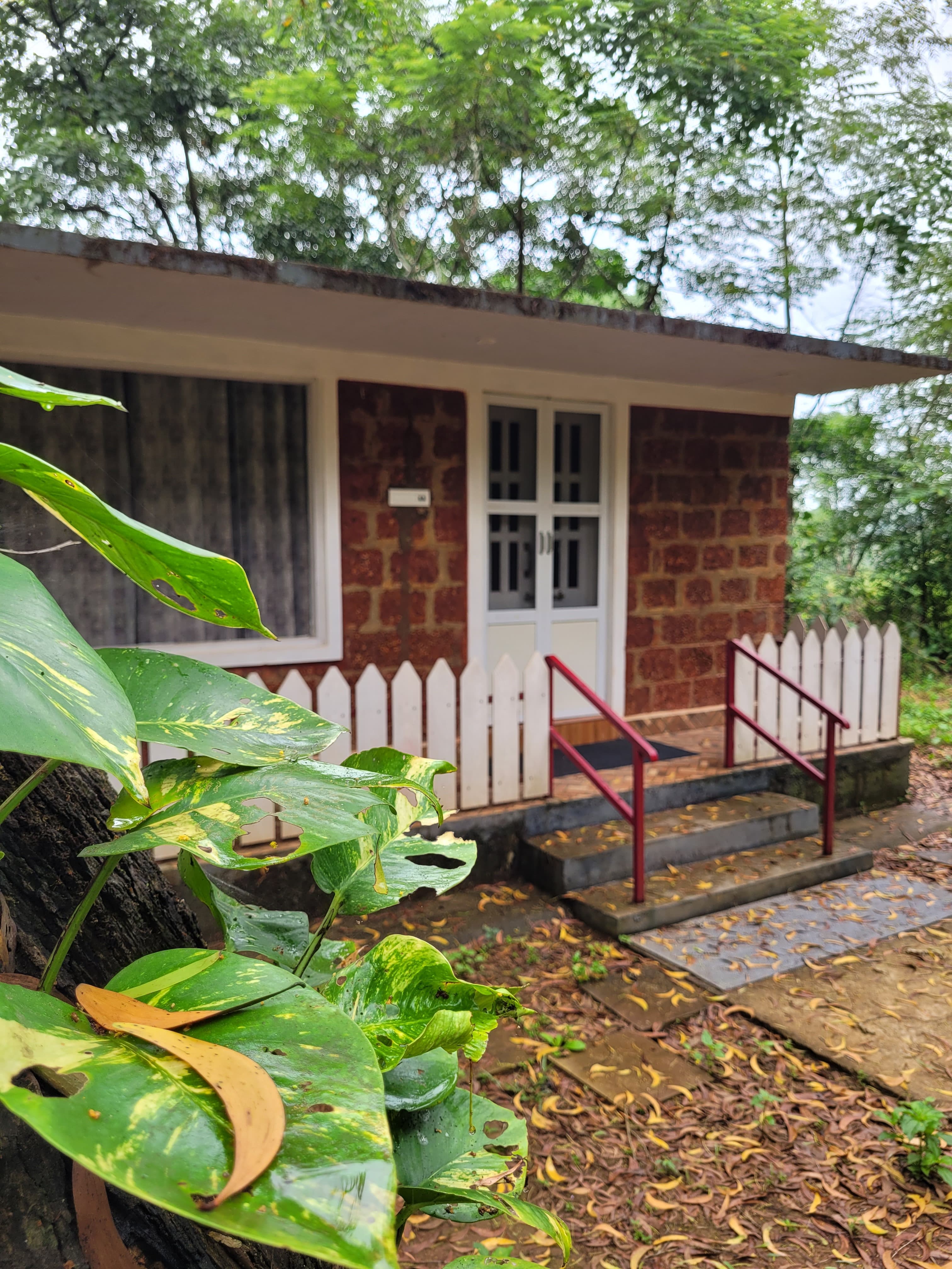 The Dandelion – Colonels' Jungle Resort