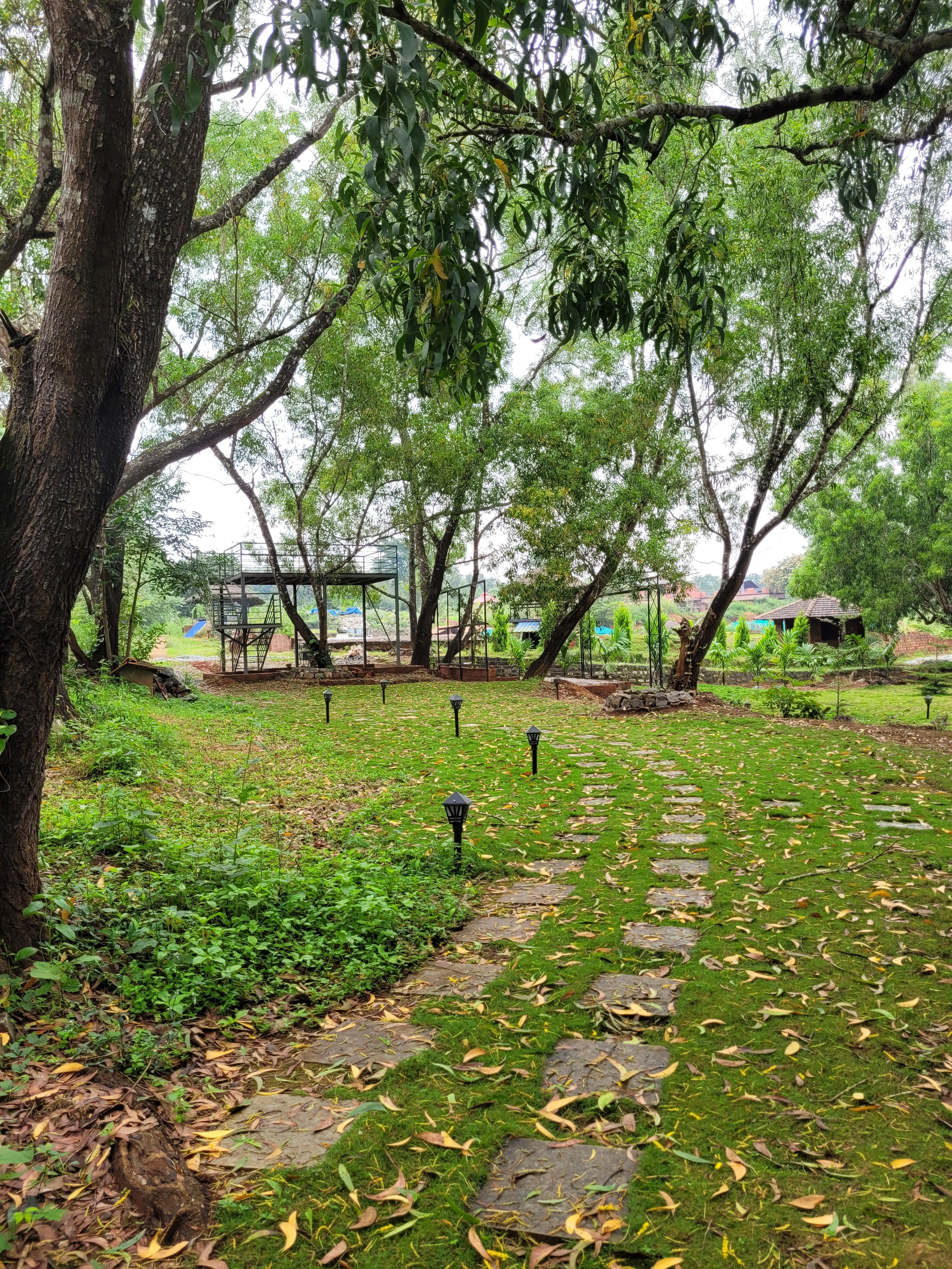 Accommodation at The Dandelion – Colonels' Jungle Resort