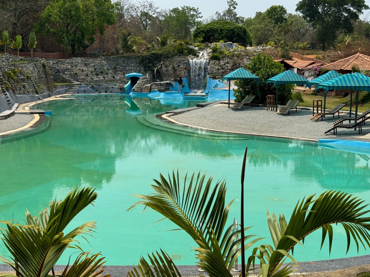The Dandelion – Colonels' Jungle Resort