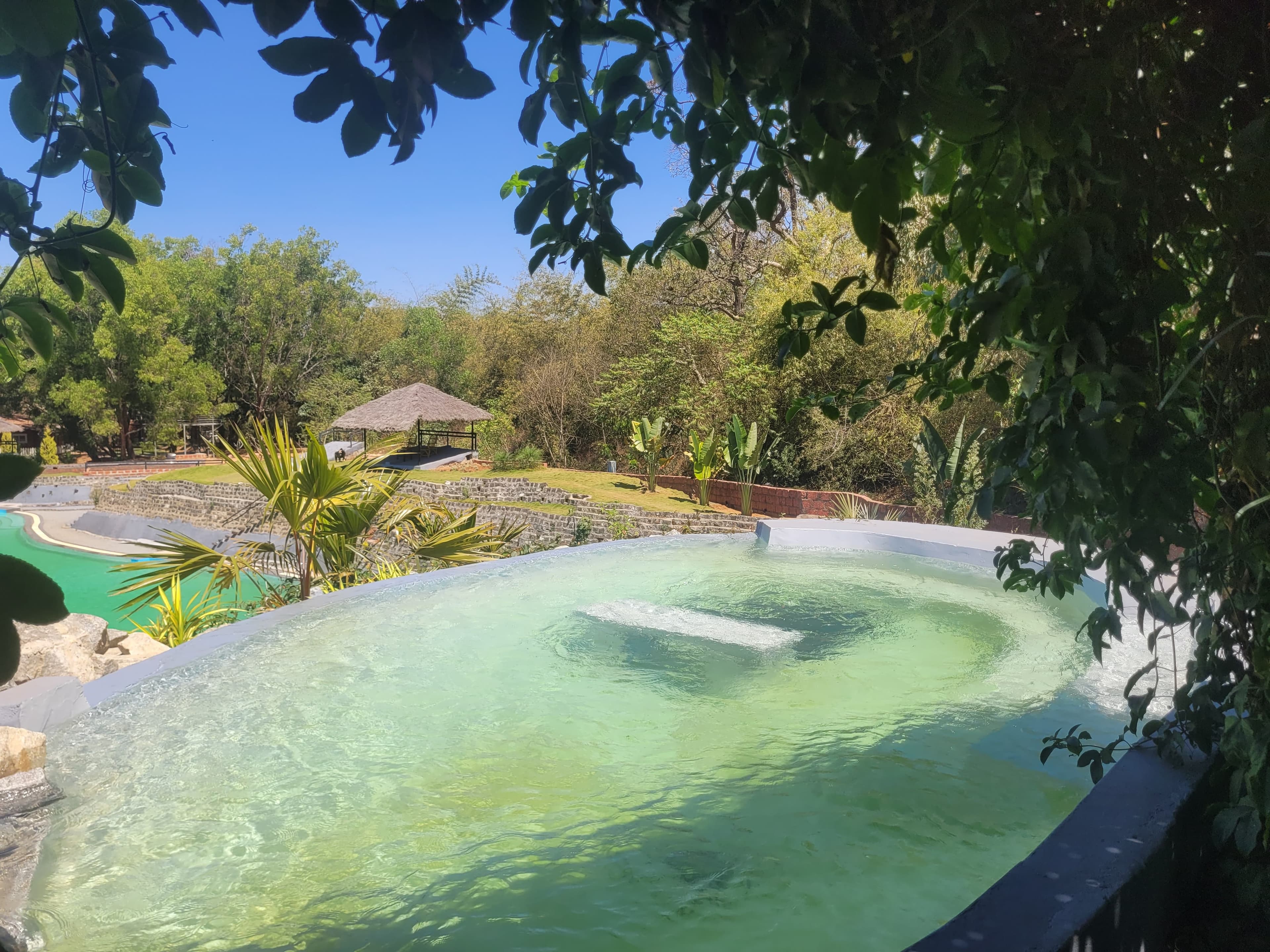 The forest and surroundings near The Dandelion – Colonels' Jungle Resort